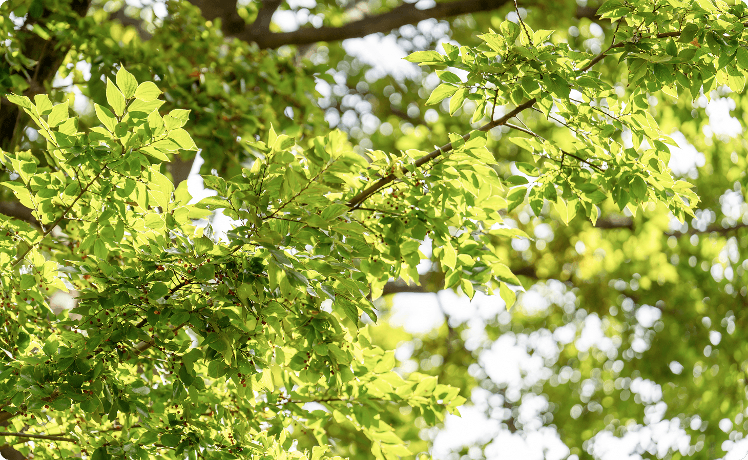 フォトギャラリー5