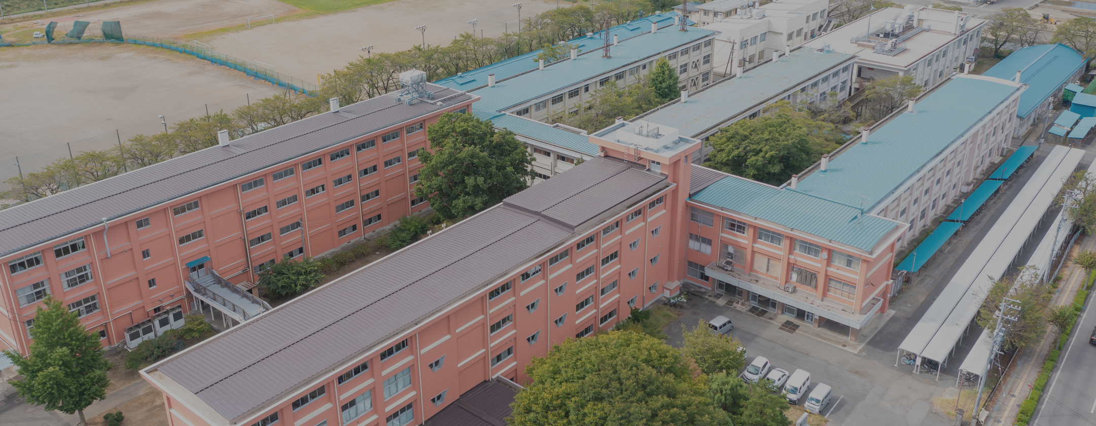 学科ページ背景